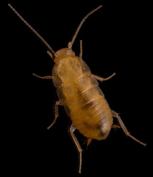  ( - UAIC1151943)  @11 [ ] Copyright  Salvador Vitanza Unspecified