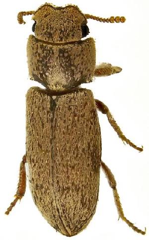  ( - UAIC1159837)  @11 [ ] Copyright  Salvador Vitanza Unspecified