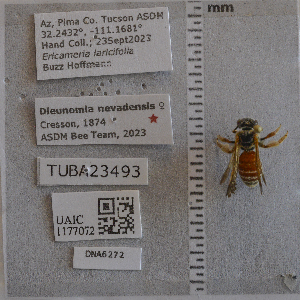  ( - UAIC1177072)  @11 [ ] by (2024) Unspecified Arizona-Sonora Desert Museum