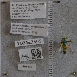  ( - UAIC1177076)  @11 [ ] by (2024) Unspecified Arizona-Sonora Desert Museum
