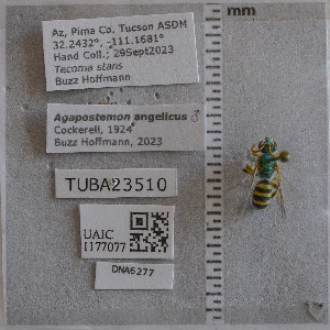 ( - UAIC1177077)  @11 [ ] by (2024) Unspecified Arizona-Sonora Desert Museum