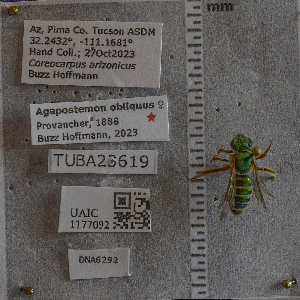  ( - UAIC1177092)  @11 [ ] by (2024) Unspecified Arizona-Sonora Desert Museum