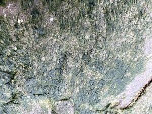  ( - GWS048338)  @11 [ ] Unspecified (default): All Rights Reserved  Unspecified Unspecified