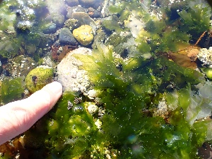  ( - GWS048683)  @11 [ ] Unspecified (default): All Rights Reserved  Unspecified Unspecified