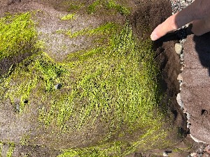  ( - GWS050298)  @11 [ ] Unspecified (default): All Rights Reserved  Unspecified Unspecified