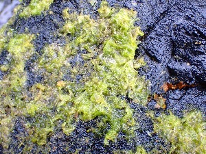  ( - GWS050327)  @11 [ ] Unspecified (default): All Rights Reserved  Unspecified Unspecified