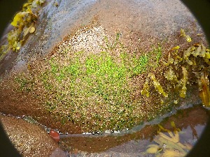  ( - GWS050459)  @11 [ ] Unspecified (default): All Rights Reserved  Unspecified Unspecified