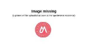  ( - UM_AAFF_00495)  @11 [ ] by-nc-sa (2024) Benoit Nabholz Universite Montpellier