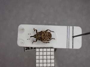  ( - UM_AAUU_AAUU440)  @11 [ ] by-nc-sa (2023) Fabre Pierre-Henri Universite Montpellier