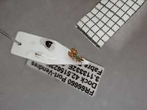  ( - UM_AAUU_AAUU485)  @11 [ ] by-nc-sa (2023) Fabre Pierre-Henri Universite Montpellier