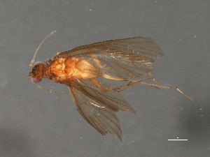  ( - RBCAD-2148)  @11 [ ] CreativeCommons - Attribution (2009) CBG Photography Group Centre for Biodiversity Genomics