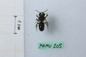  ( - BGE_00434_C11)  @11 [ ] CreativeCommons  Attribution Non-Commercial Share-Alike (2024) Adele Bordoni Universit&agrave; degli Studi di Firenze