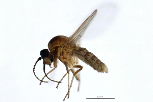  ( - 09BBDIP-1637)  @13 [ ] CreativeCommons - Attribution (2010) CBG Photography Group Centre for Biodiversity Genomics