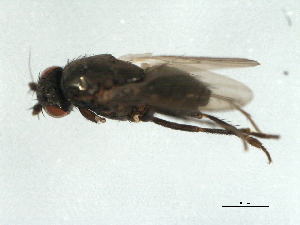  ( - 09BBDIP-1488)  @12 [ ] CreativeCommons - Attribution (2009) CBG Photography Group Centre for Biodiversity Genomics