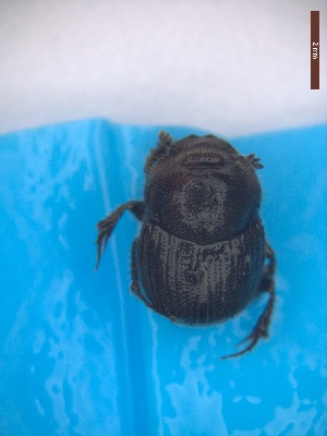  ( - UTOCP_99)  @11 [ ] CreativeCommons Attribution Non-Commercial Share-Alike  Unspecified Unspecified