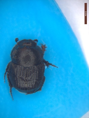  ( - UTOCP_100)  @11 [ ] CreativeCommons Attribution Non-Commercial Share-Alike  Unspecified Unspecified