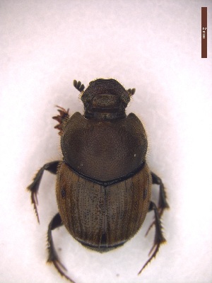  ( - UTOCP_35)  @11 [ ] CreativeCommons - Attribution Non-Commercial Share-Alike (2025) Unspecified University of Turin