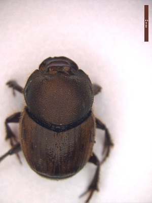  ( - UTOCP_36)  @11 [ ] CreativeCommons - Attribution Non-Commercial Share-Alike (2025) Unspecified University of Turin