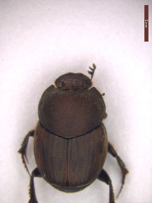  ( - UTOCP_37)  @11 [ ] CreativeCommons - Attribution Non-Commercial Share-Alike (2025) Unspecified University of Turin