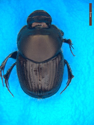  ( - UTOCP_28)  @11 [ ] CreativeCommons - Attribution Non-Commercial Share-Alike (2025) Unspecified University of Turin