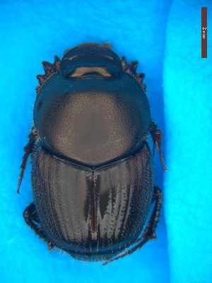  ( - UTOCP_29)  @11 [ ] CreativeCommons - Attribution Non-Commercial Share-Alike (2025) Unspecified University of Turin