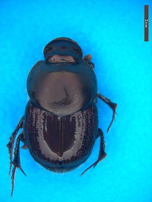  ( - UTOCP_31)  @11 [ ] CreativeCommons - Attribution Non-Commercial Share-Alike (2025) Unspecified University of Turin