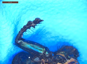  ( - UTOCP_102)  @11 [ ] CreativeCommons - Attribution Share-Alike (2025) Unspecified University of Turin