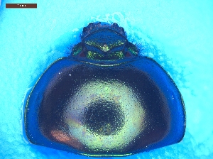  ( - UTOCP_103)  @11 [ ] CreativeCommons - Attribution Share-Alike (2025) Unspecified University of Turin