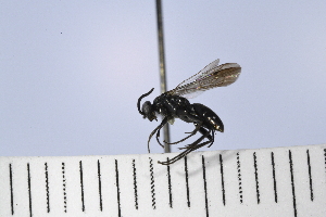  ( - UUPomp_139)  @11 [ ] Copyright (2024) Jeremy Blaschke Union University