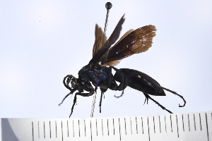  ( - UUPomp_160)  @11 [ ] Copyright (2024) Jeremy Blaschke Union University