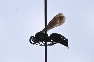  ( - UUPomp_164)  @11 [ ] Copyright (2024) Jeremy Blaschke Union University