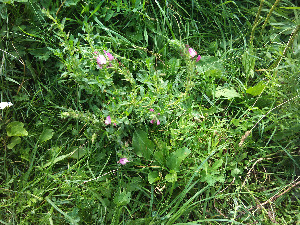  ( - 3685-E-9-1)  @11 [ ] No Rights Reserved  Unspecified Unspecified