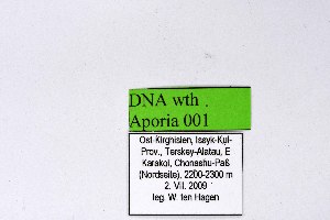  ( - DNAwthAporia001)  @11 [ ] copyright (2023) Wolfgang tenHagen Unspecified