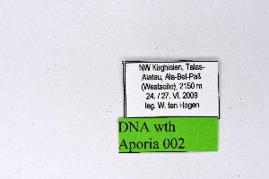  ( - DNAwthAporia002)  @11 [ ] copyright (2023) Wolfgang tenHagen Unspecified