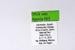  ( - DNAwthAporia003)  @11 [ ] copyright (2023) Wolfgang tenHagen Unspecified