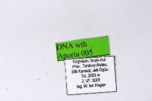  ( - DNAwthAporia005)  @11 [ ] copyright (2023) Wolfgang tenHagen Unspecified
