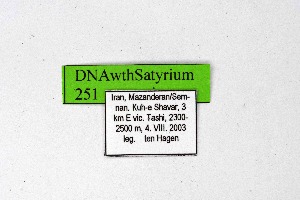  ( - DNAwthSatyrium251)  @11 [ ] Copyright (2023) Unspecified Unspecified