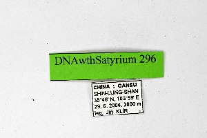  ( - DNAwthSatyrium296)  @11 [ ] Copyright (2023) Unspecified Unspecified