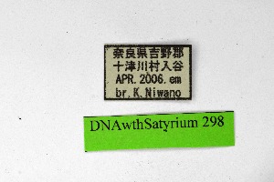  ( - DNAwthSatyrium298)  @11 [ ] Copyright (2023) Unspecified Unspecified