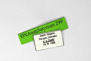  ( - DNAwthSatyrium299)  @11 [ ] Copyright (2023) Unspecified Unspecified