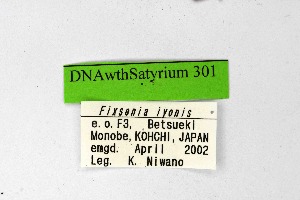  (Satyrium iyonis - DNAwthSatyrium301)  @11 [ ] Copyright (2023) Unspecified Unspecified