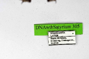  ( - DNAwthSatyrium305)  @11 [ ] Copyright (2023) Unspecified Unspecified