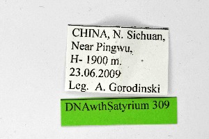  ( - DNAwthSatyrium309)  @11 [ ] Copyright (2023) Unspecified Unspecified