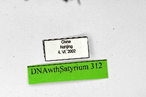  ( - DNAwthSatyrium312)  @11 [ ] Copyright (2023) Unspecified Unspecified