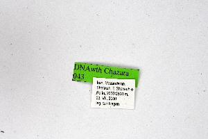  ( - DNAwthChazara043)  @11 [ ] copyright (2025) Wolfgang tenHagen Unspecified