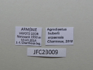  ( - JFC23009)  @11 [ ] Copyright (2023) Unspecified Unspecified