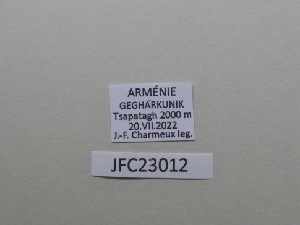  ( - JFC23012)  @11 [ ] Copyright (2023) Unspecified Unspecified