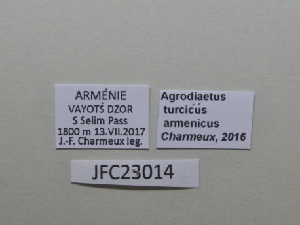  ( - JFC23014)  @11 [ ] Copyright (2023) Unspecified Unspecified