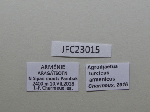  ( - JFC23015)  @11 [ ] Copyright (2023) Unspecified Unspecified
