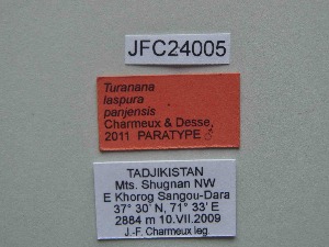  ( - JFC24005)  @11 [ ] Copyright (2024) Jean-Francois Charmeux Unspecified